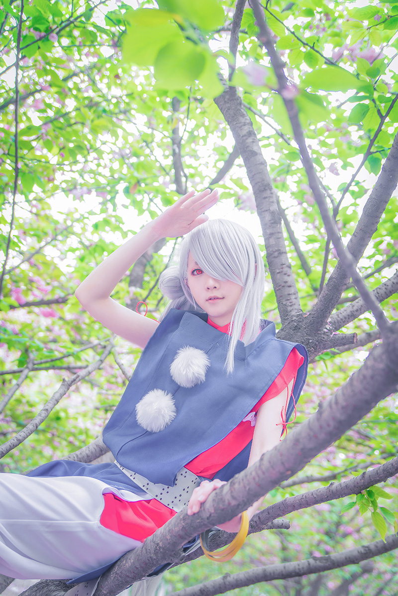 Star's Delay to December 22, Coser Hoshilly BCY Collection 3(73)